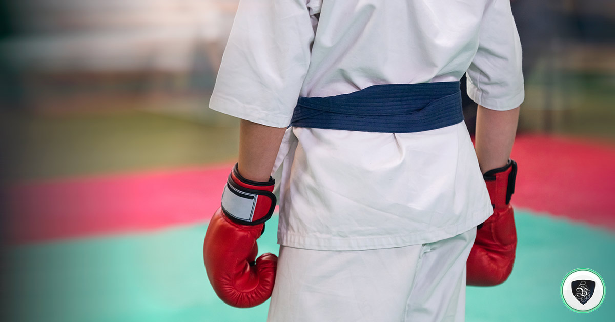 Watch the World Combat Games Live Online: A New Dimension of Sports Entertainment
