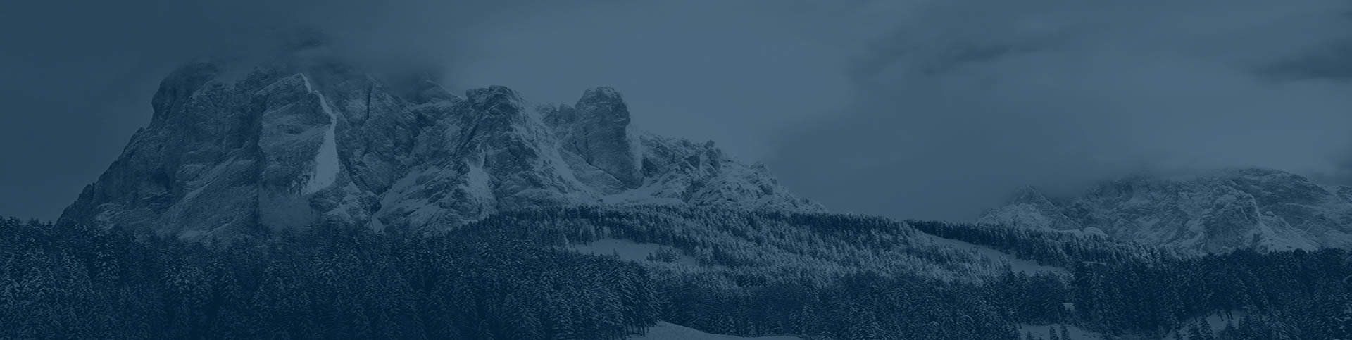 P2P File Sharing: Everyone Needs a Friend