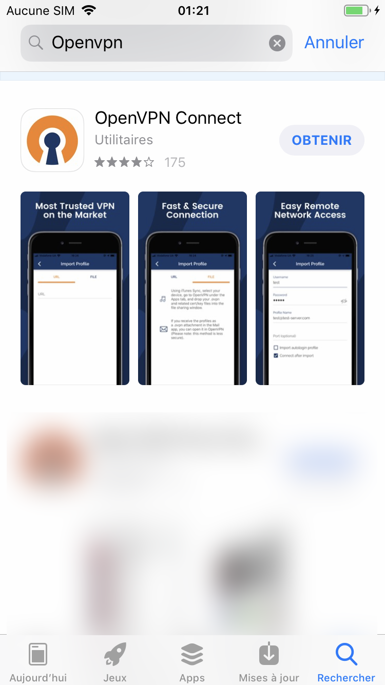 Le VPN installation on iOS (OpenVPN)