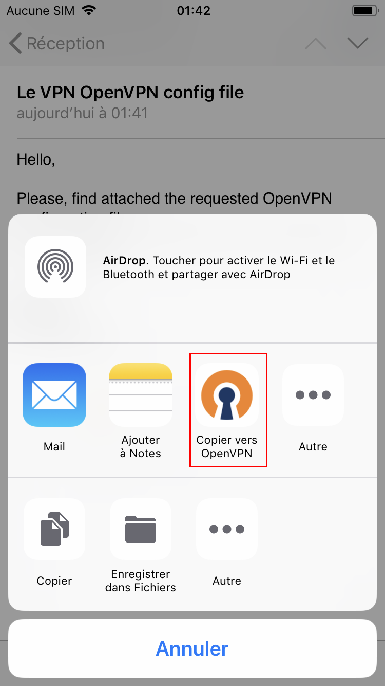 Le VPN installation on iOS (OpenVPN)