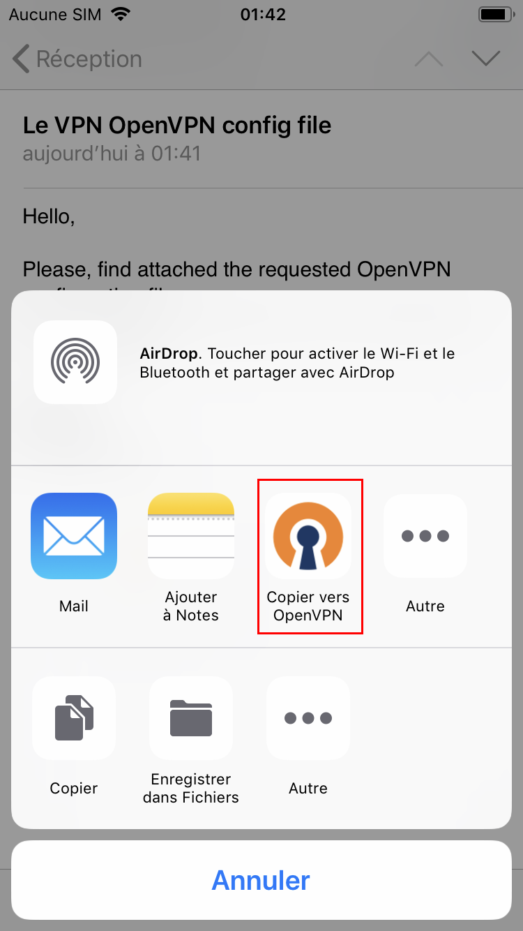 Le VPN installation on iOS (OpenVPN)