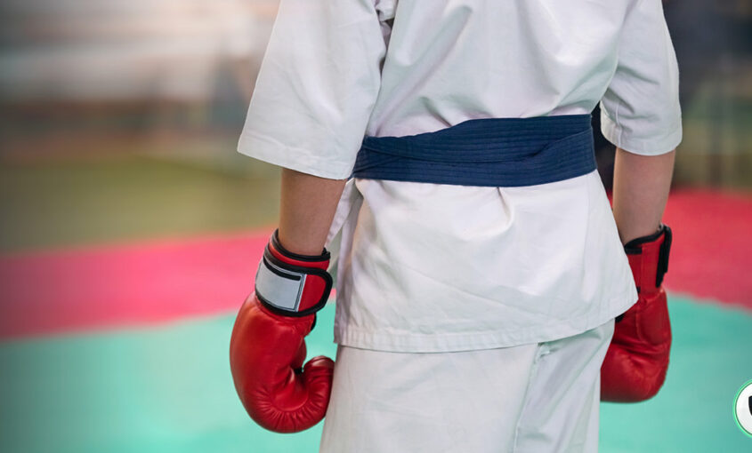 Watch the World Combat Games Live Online: A New Dimension of Sports Entertainment. | Le VPN